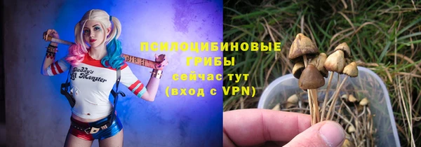 эйфоретик Алзамай