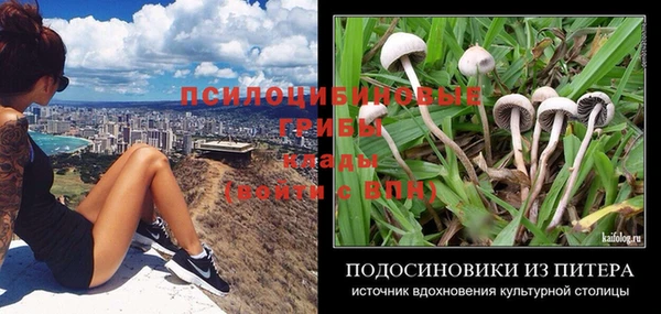 скорость Алексеевка