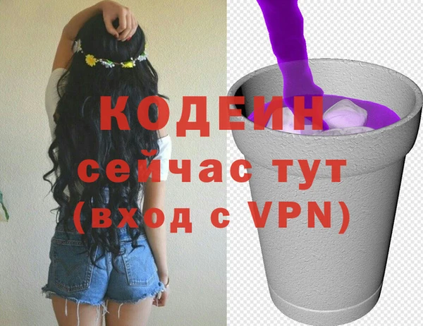 a pvp Абаза