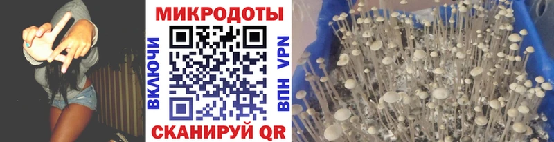 Галлюциногенные грибы мухоморы  Бобров 