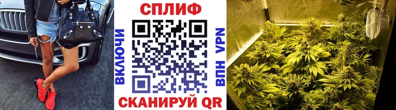 МАРИХУАНА SATIVA & INDICA Бобров